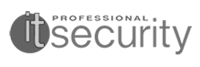 it security professional